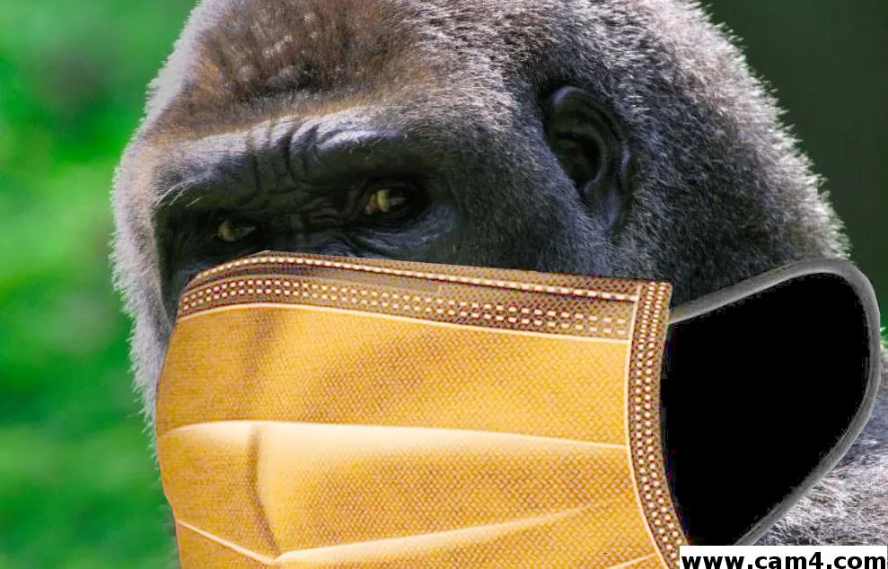 mikemasterxx image 0