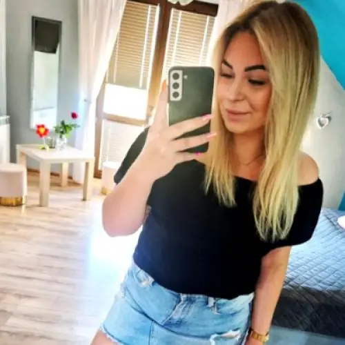 schlittenfick image 0