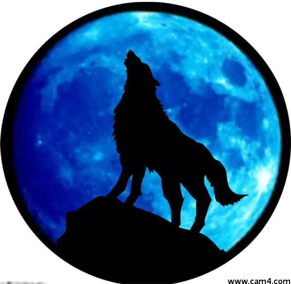 Wolf_Soul image 0