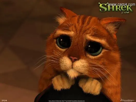 darkline2005 image 0