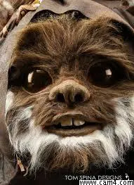 Ewok_mignon image 0