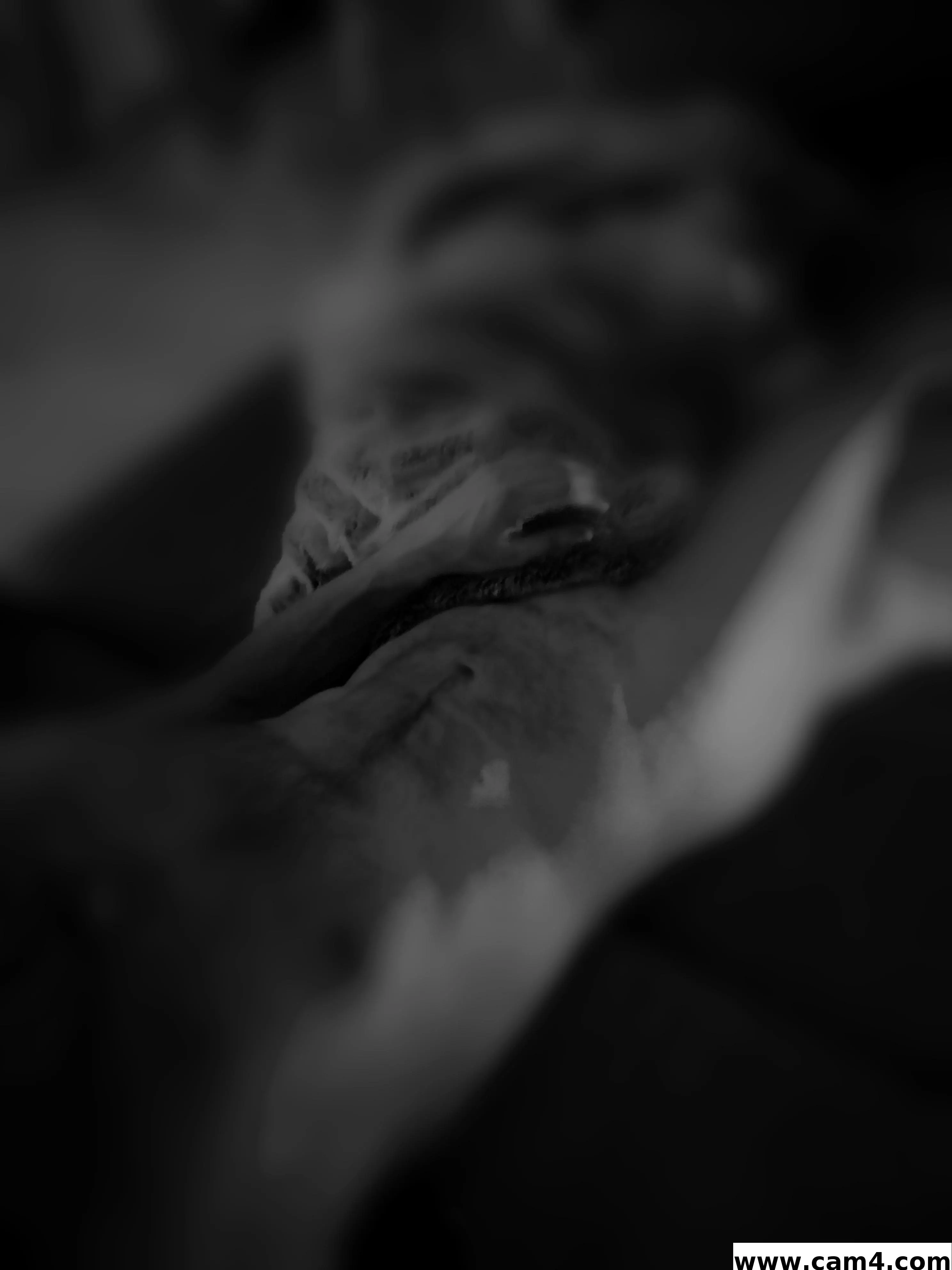 dervonnebenan_1 image 0