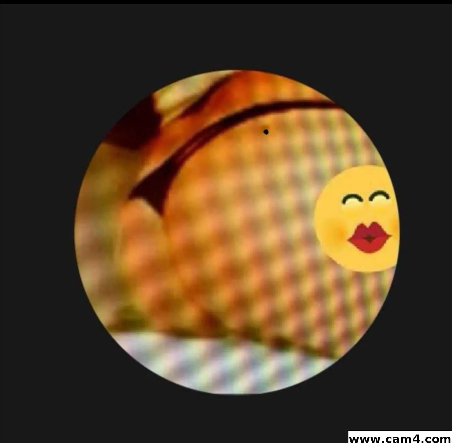 alexpicis973 image 0