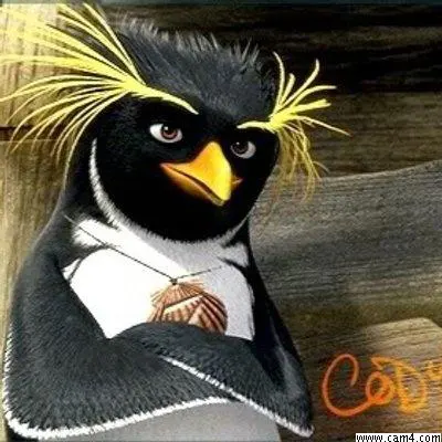 codymaverik_ image 0