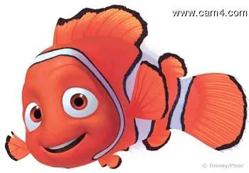 soloperoggi_ image 0