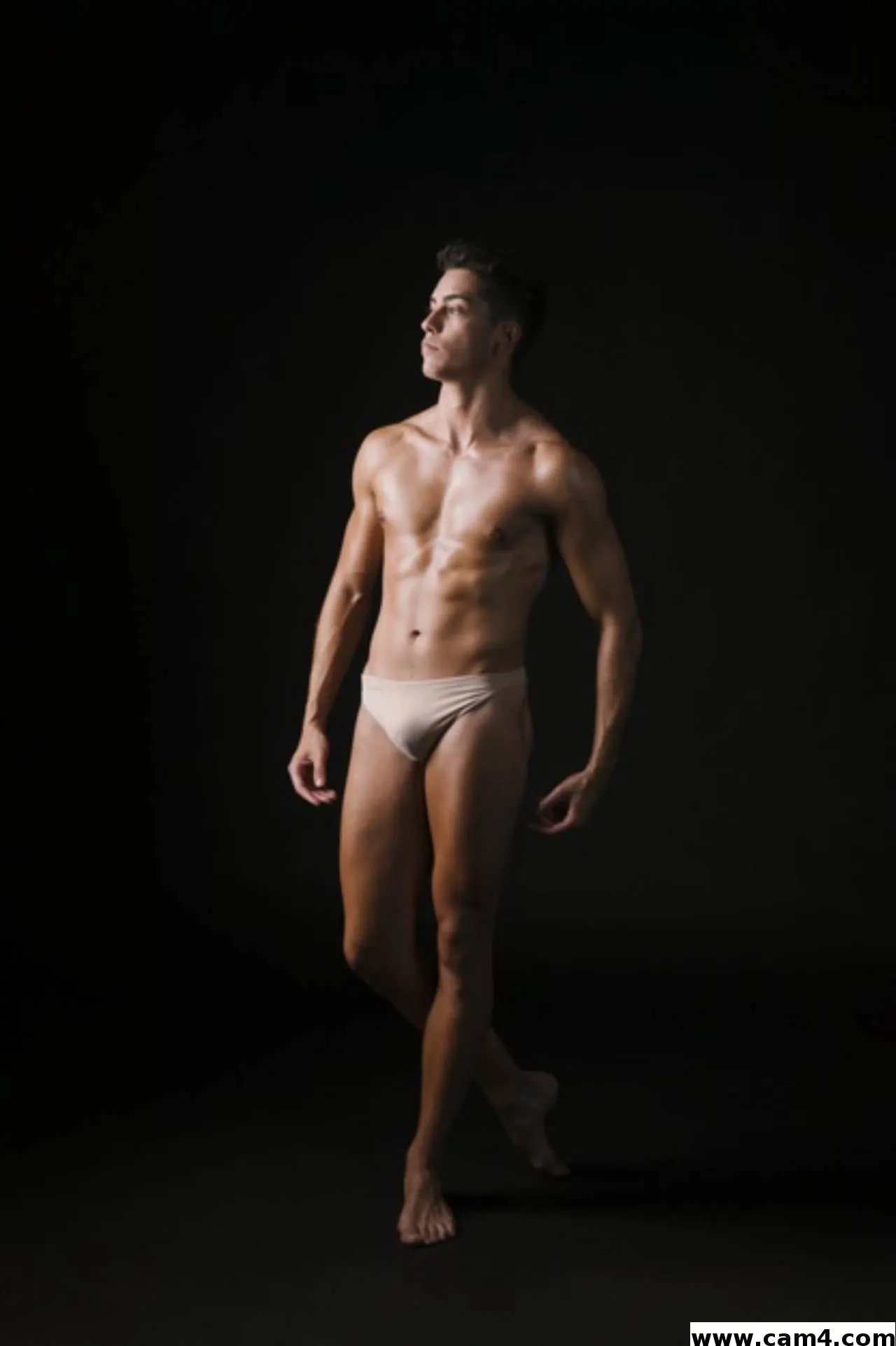 DJTARADOBTOS image 0