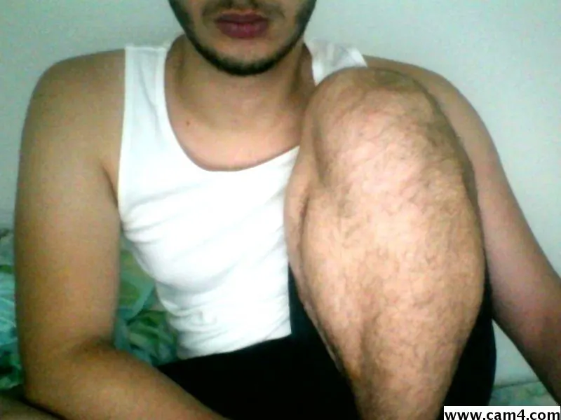 denis_softos image 0