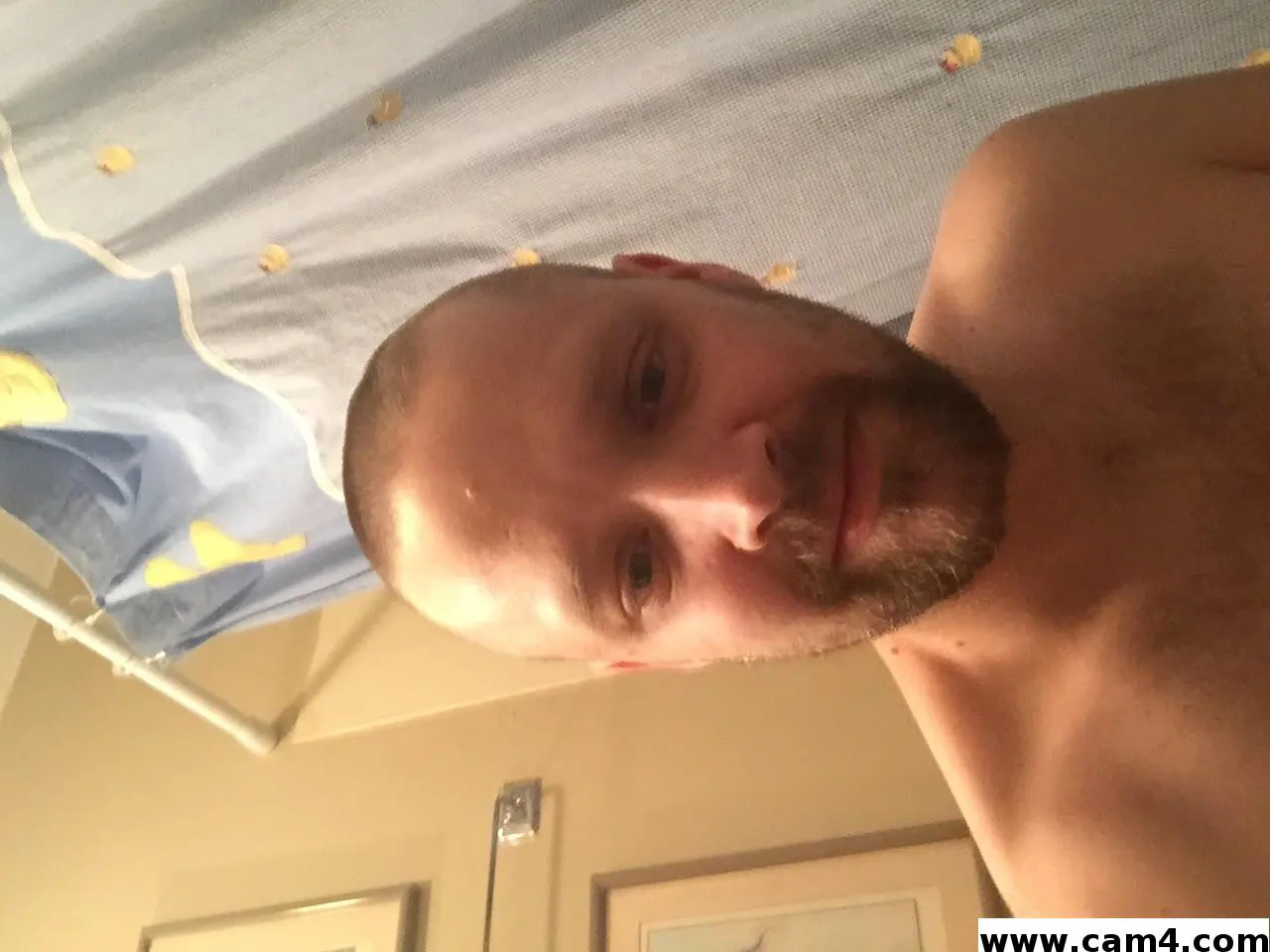 Whitetee10122 image 0