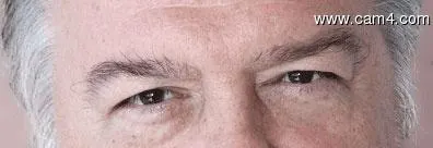 lupogrigio02 image 0