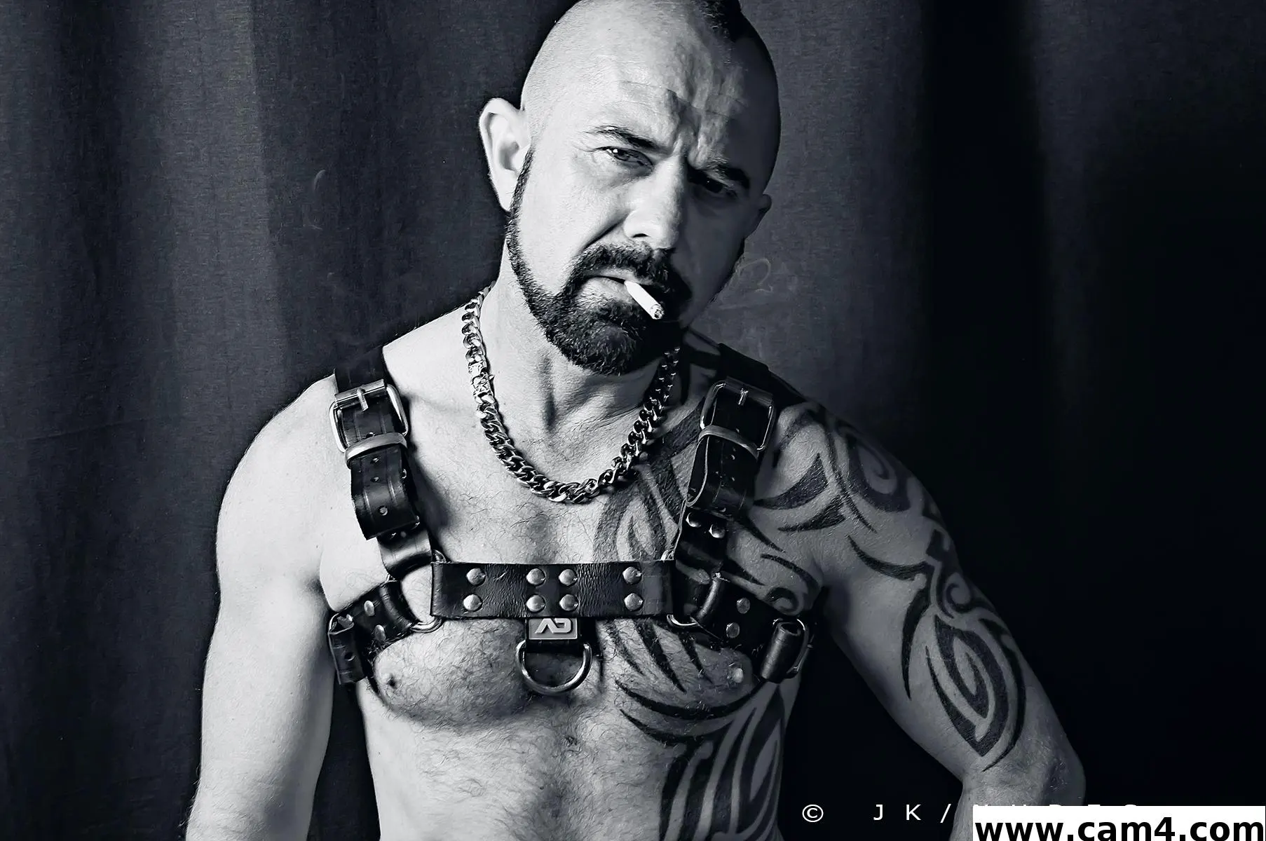 tonybranleur image 0