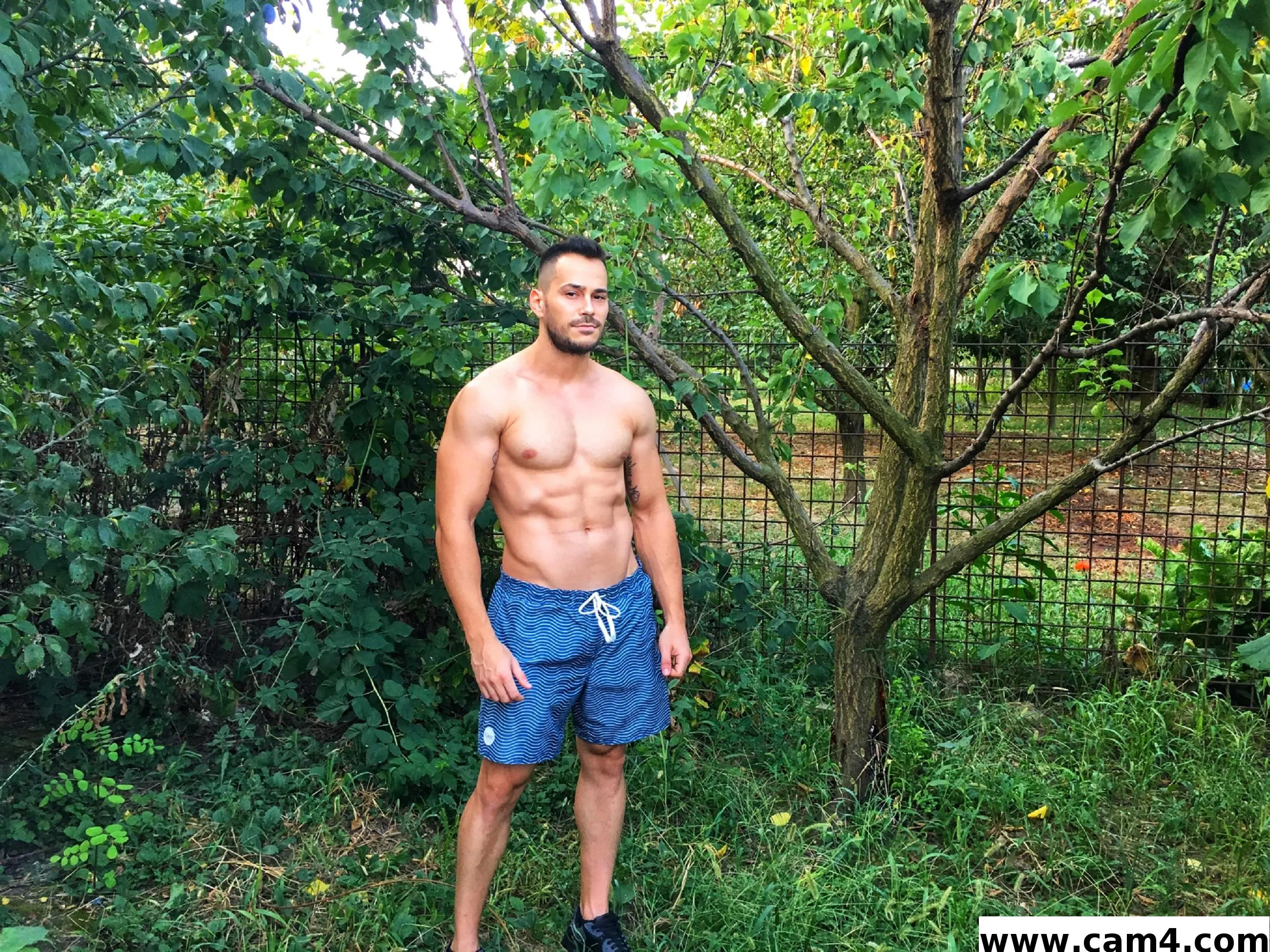 silviocaroli image 0