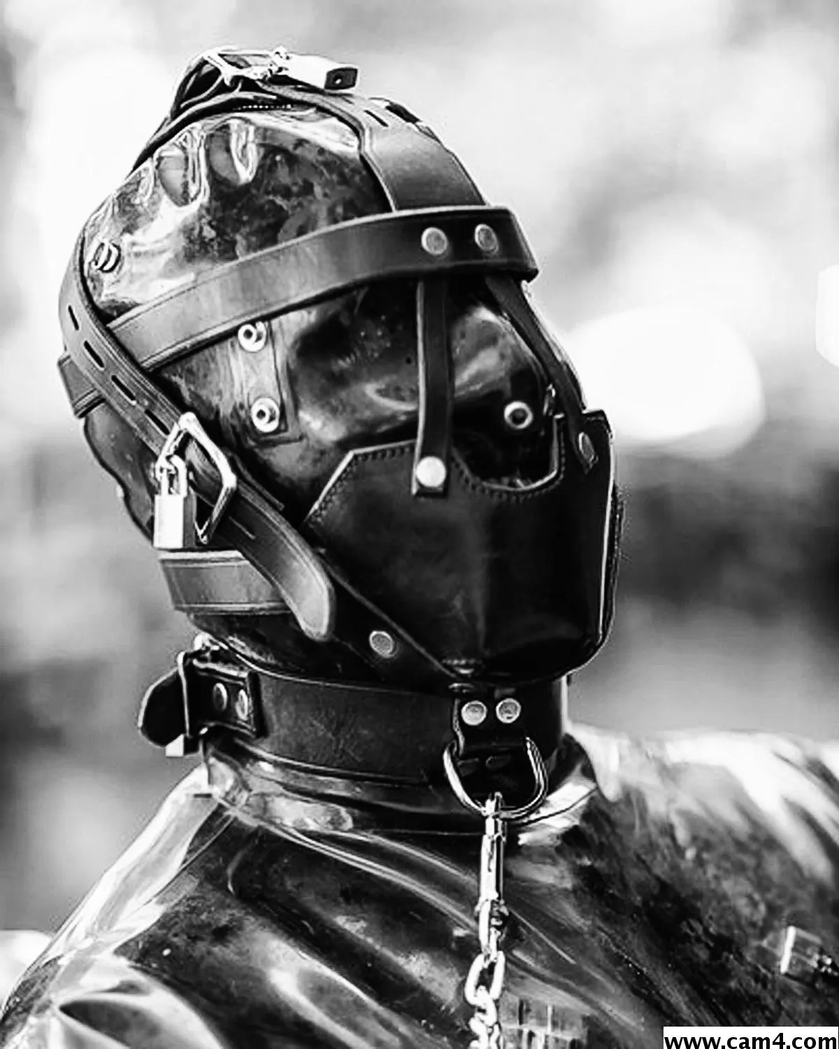 kinkbikerlad image 0