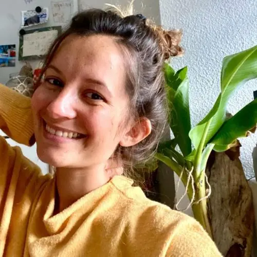 brauchdensound image 0