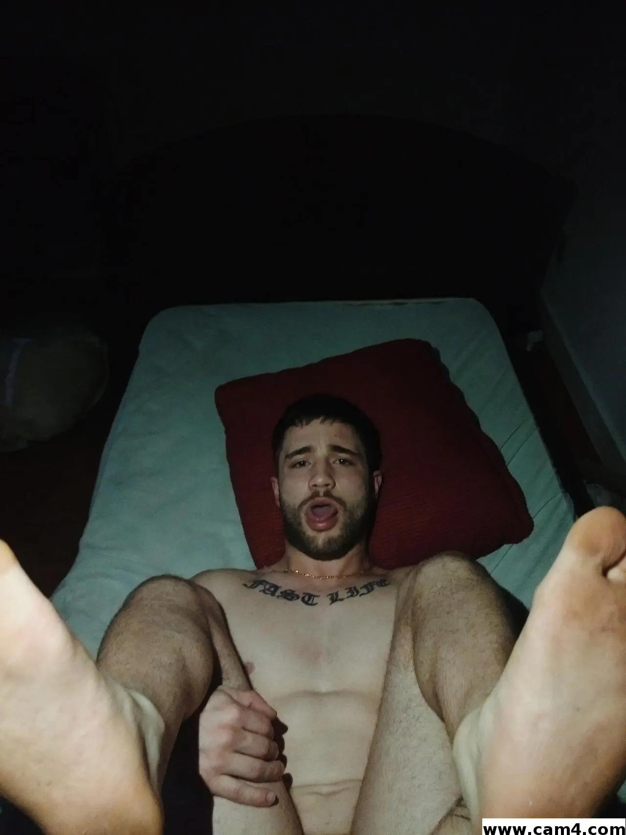 nitkonitkovi image 0