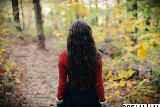 CuddliesNikki image 0