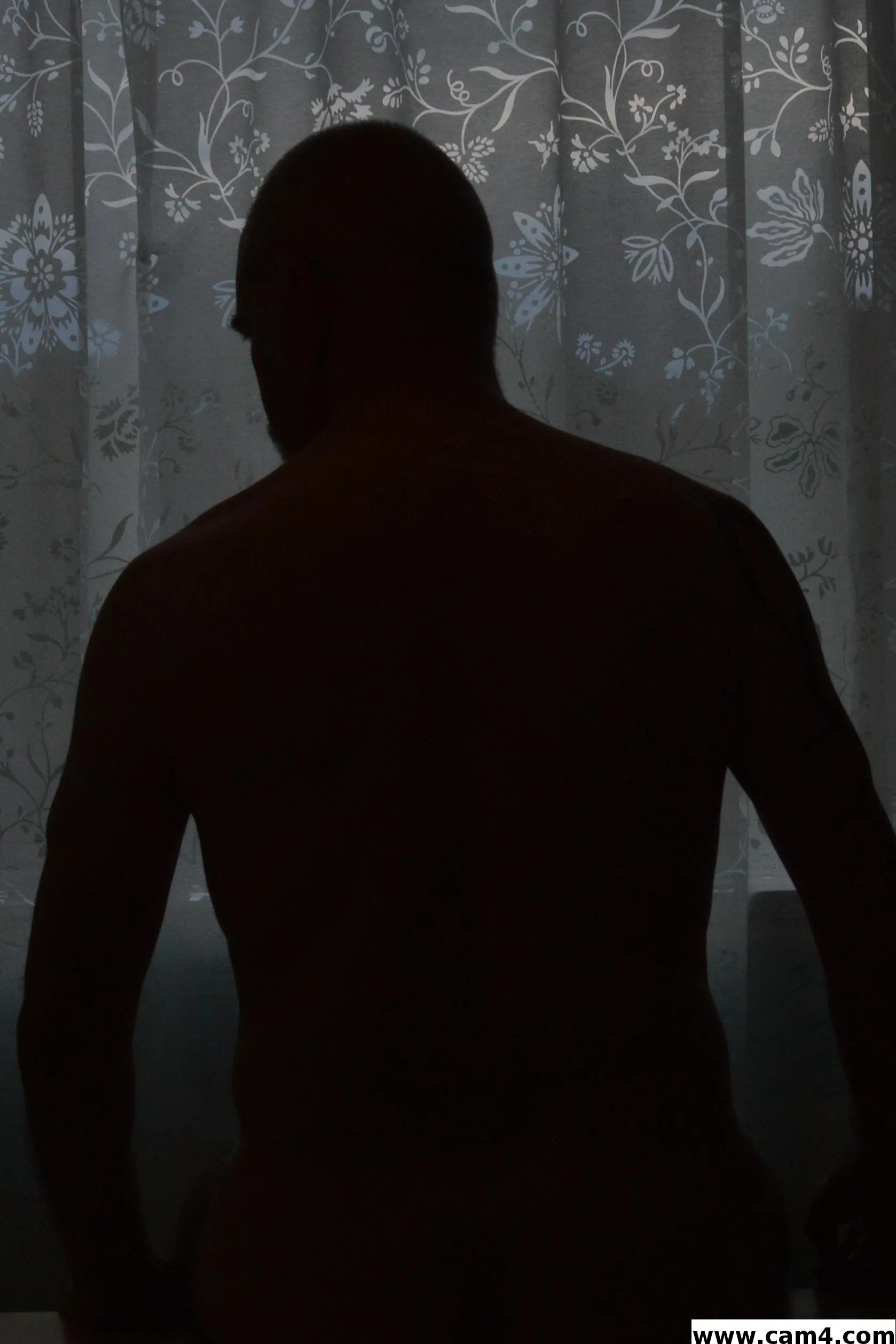 Silverfox1480 image 0