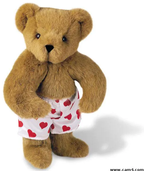 FreddyBear2607 image 0