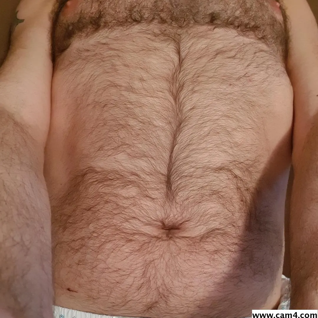hairybellyit image 0