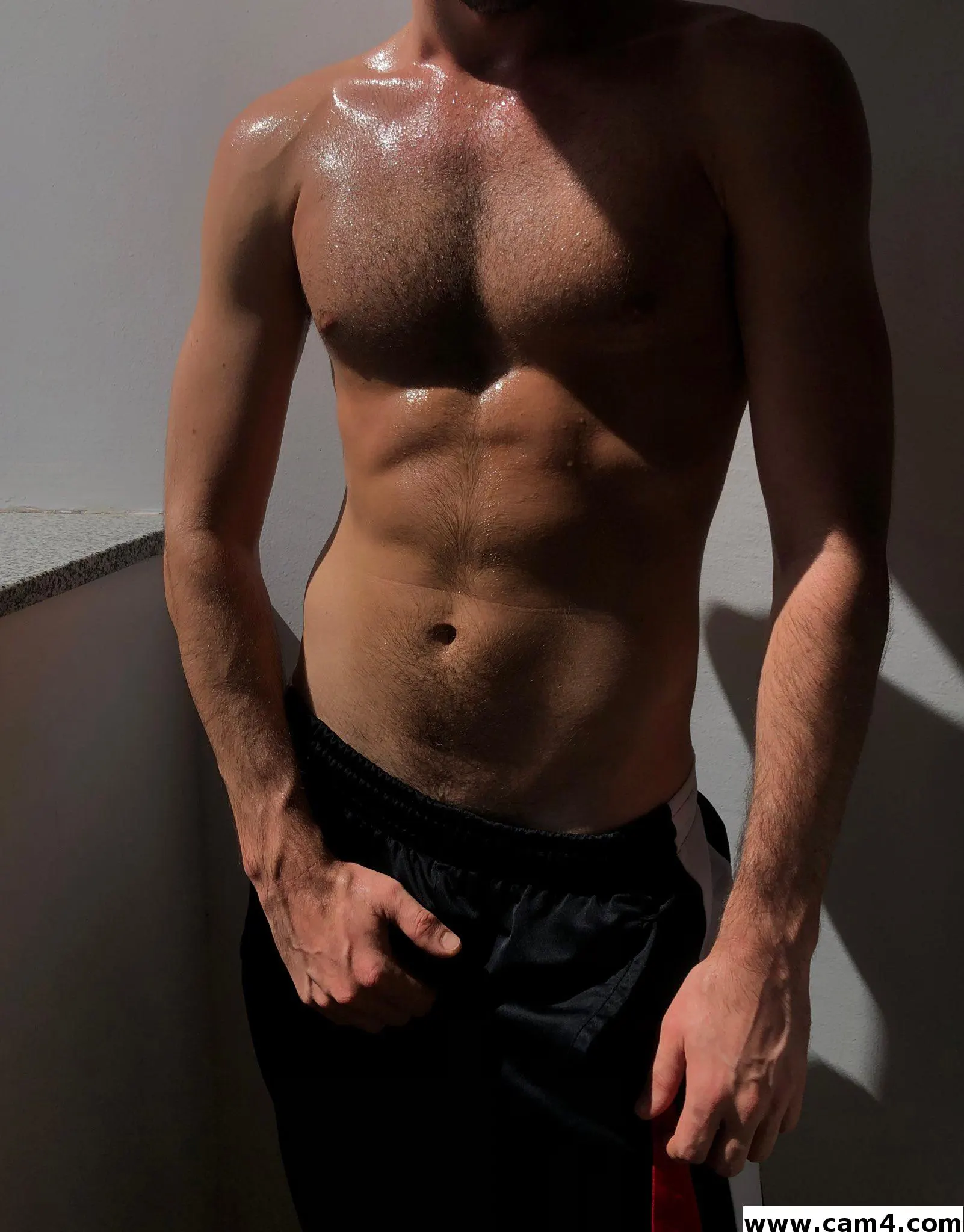 prtnrsincrime image 0