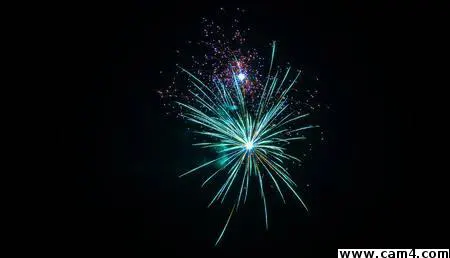 pleasemycock image 0