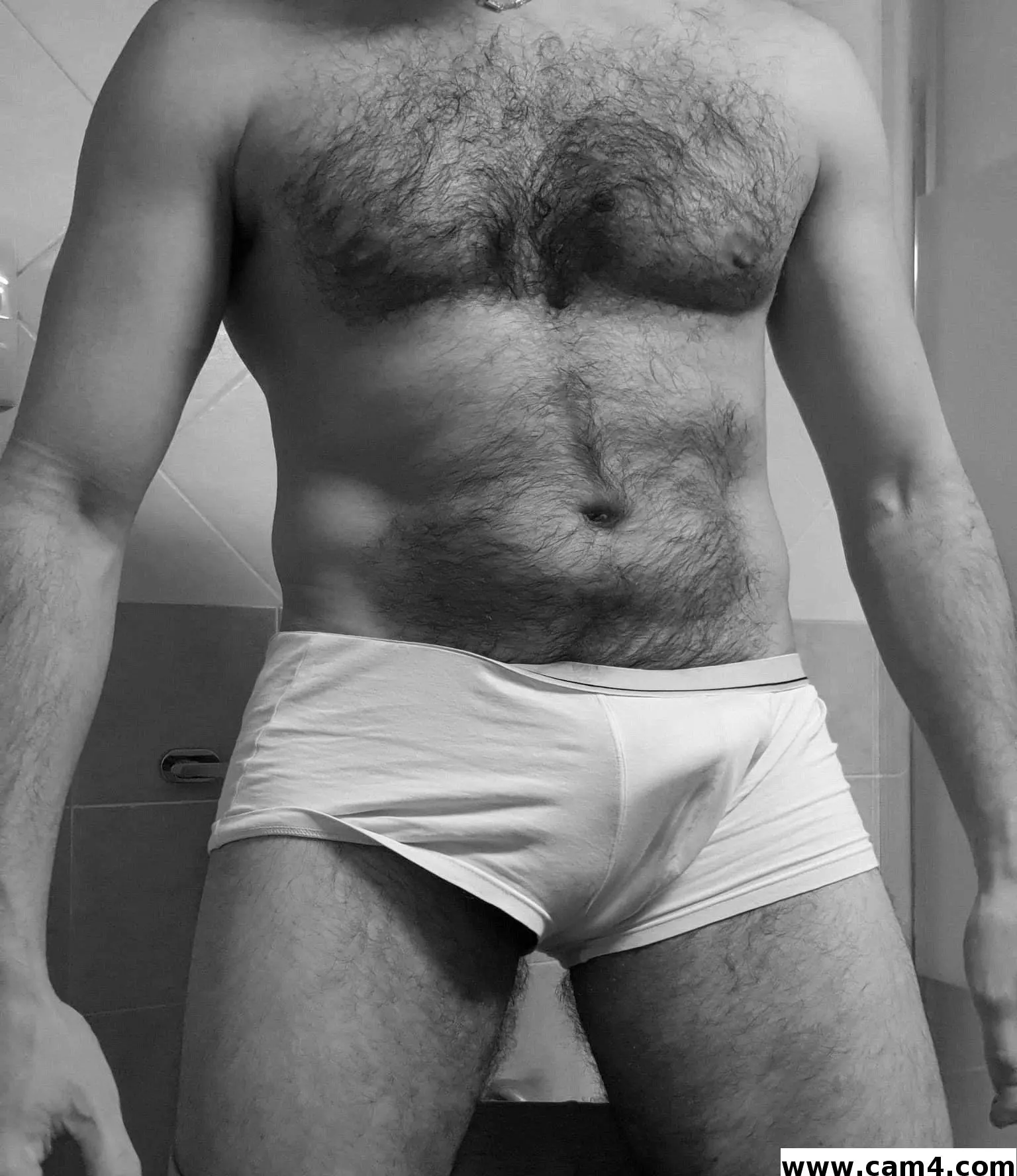 wolfy_for_bears image 0