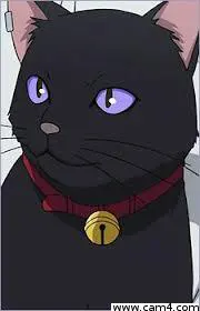 Blackgirlcat image 0
