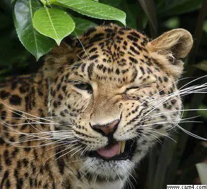 miguel001143 image 0