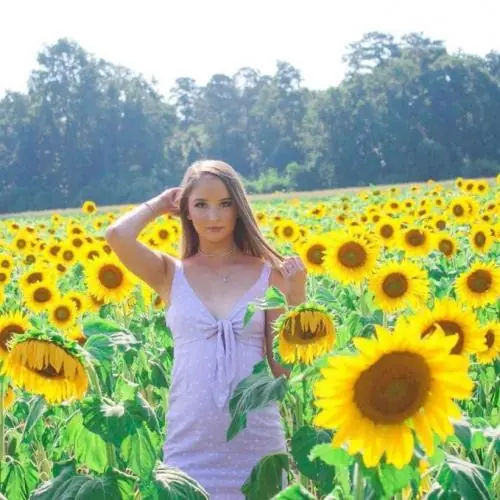 sonnenspalte image 0