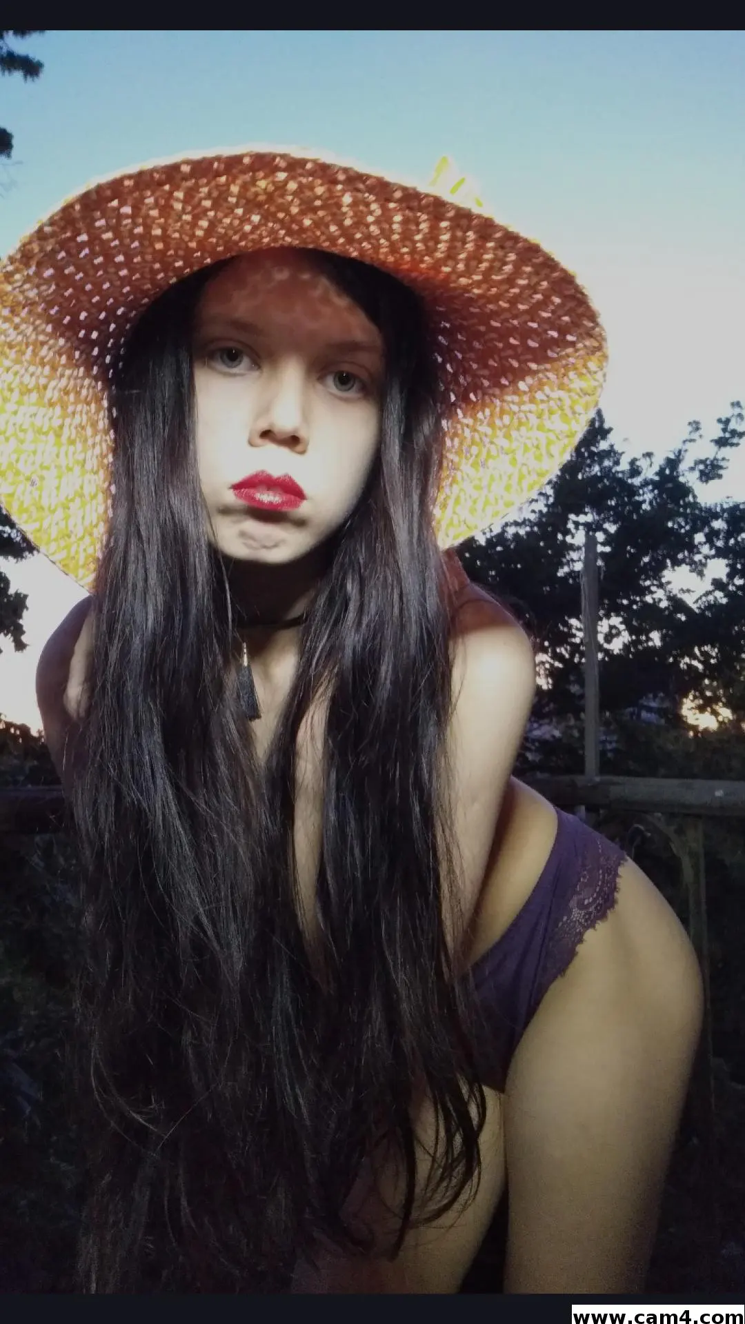 sweetVillain image 0