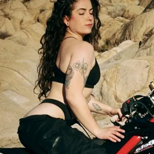 stossgedampfte image 0