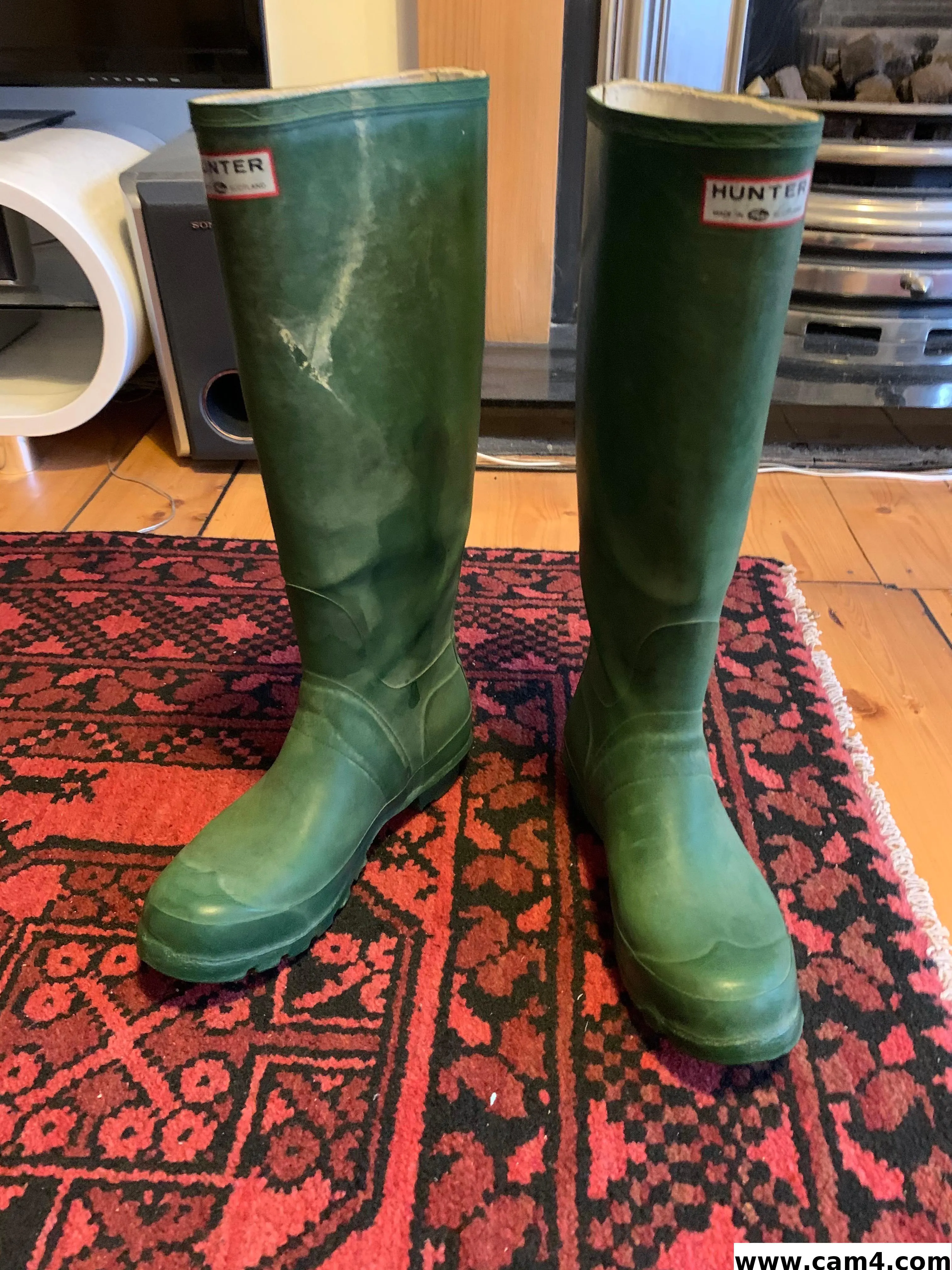 green_hunter image 0