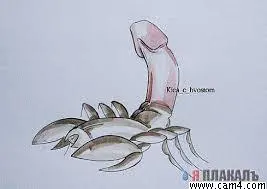 CHEKKKO84HOT image 0