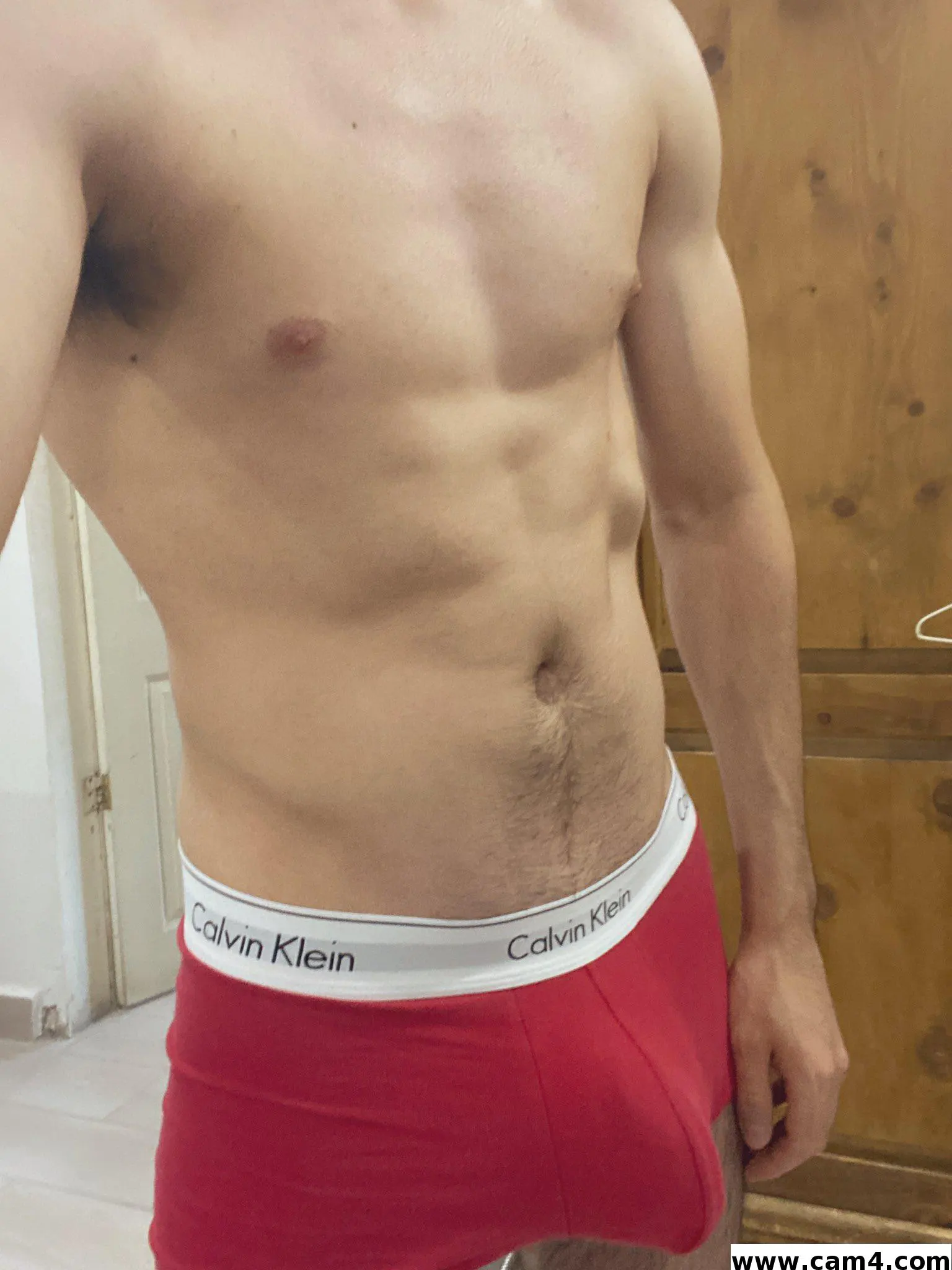 absanddick96 image 0