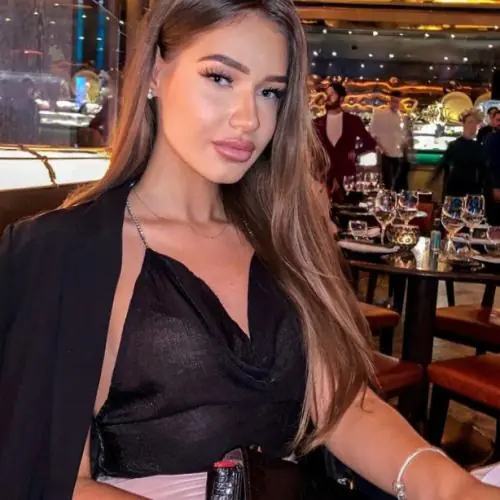 vielestimmen image 0