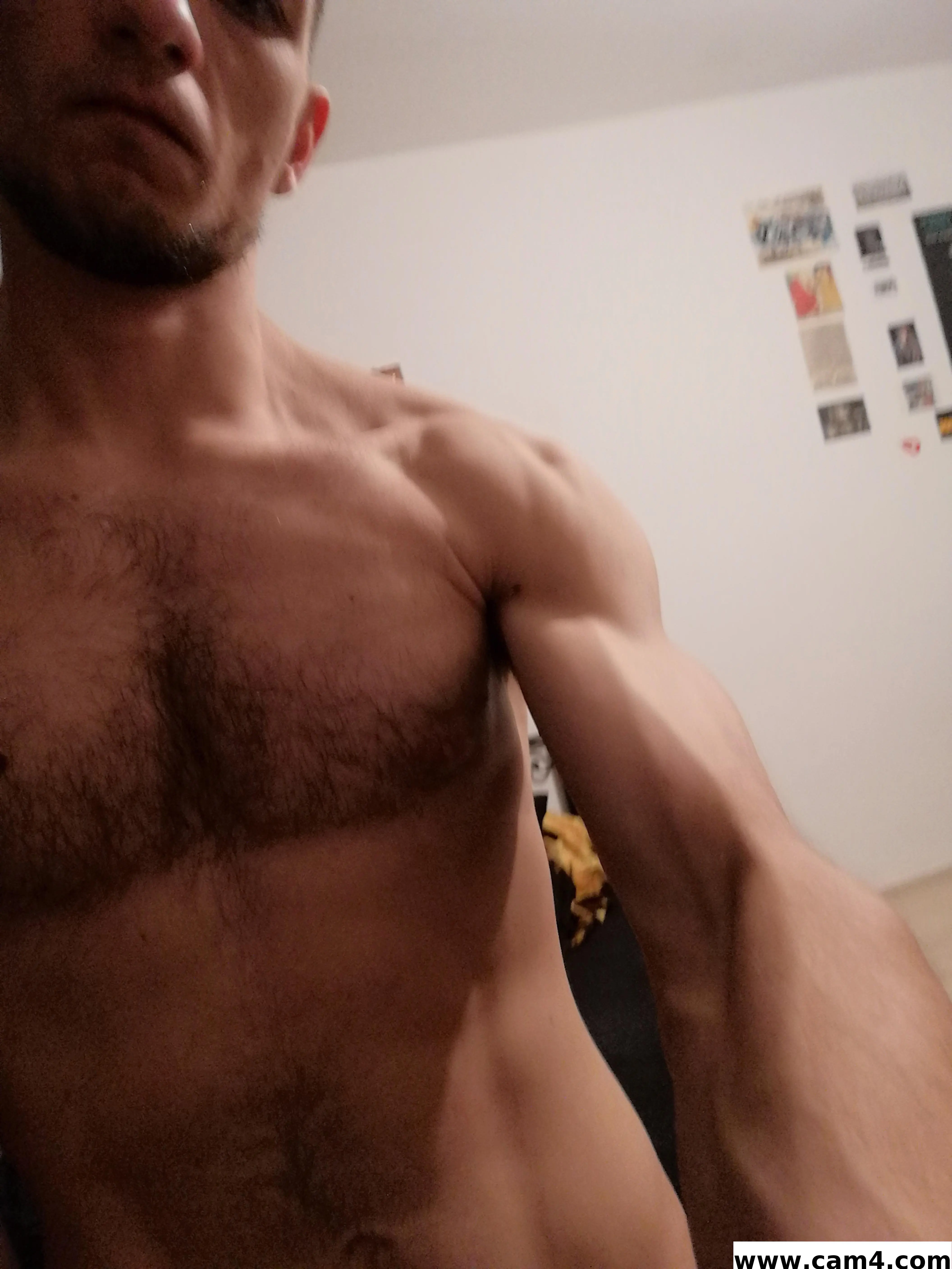 thelastchief image 0