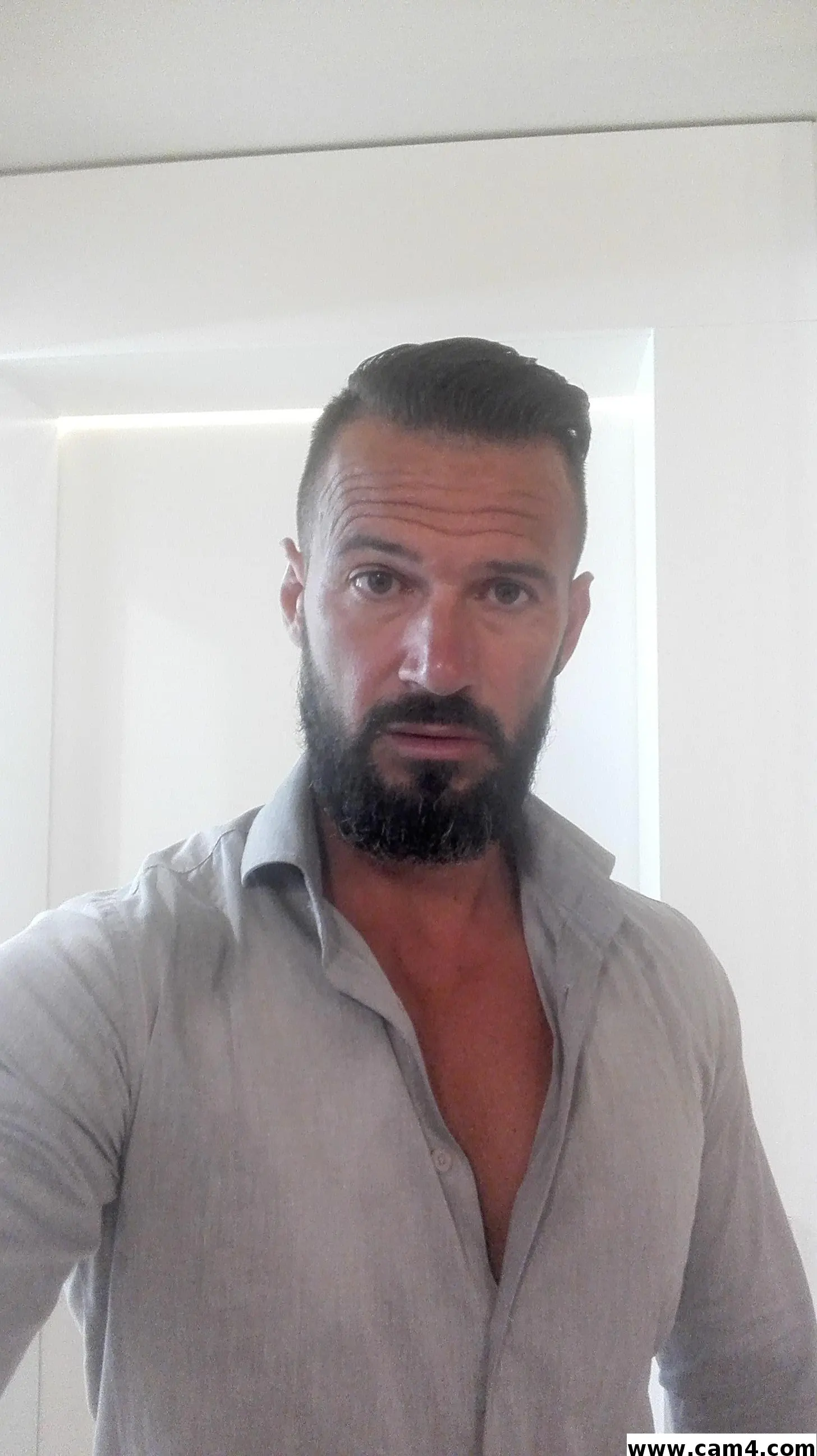 muscoloporco image 0