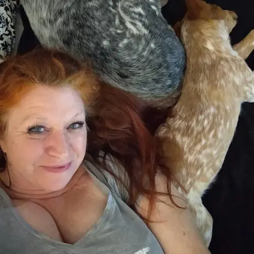 geilkuchentisch image 0