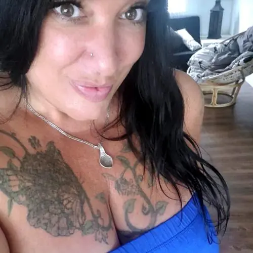 bildimbaldiges image 0