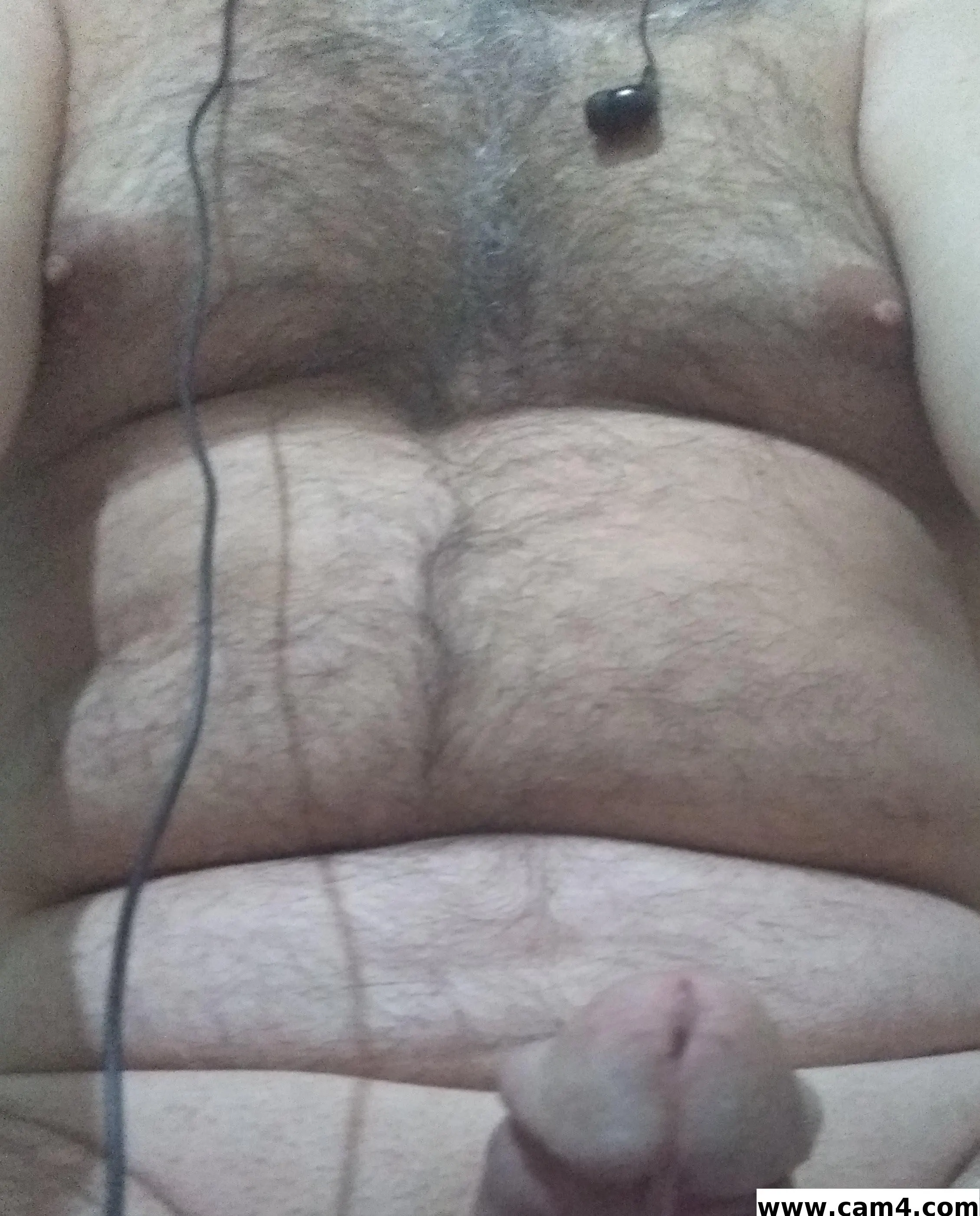 hornywolf_tr image 0