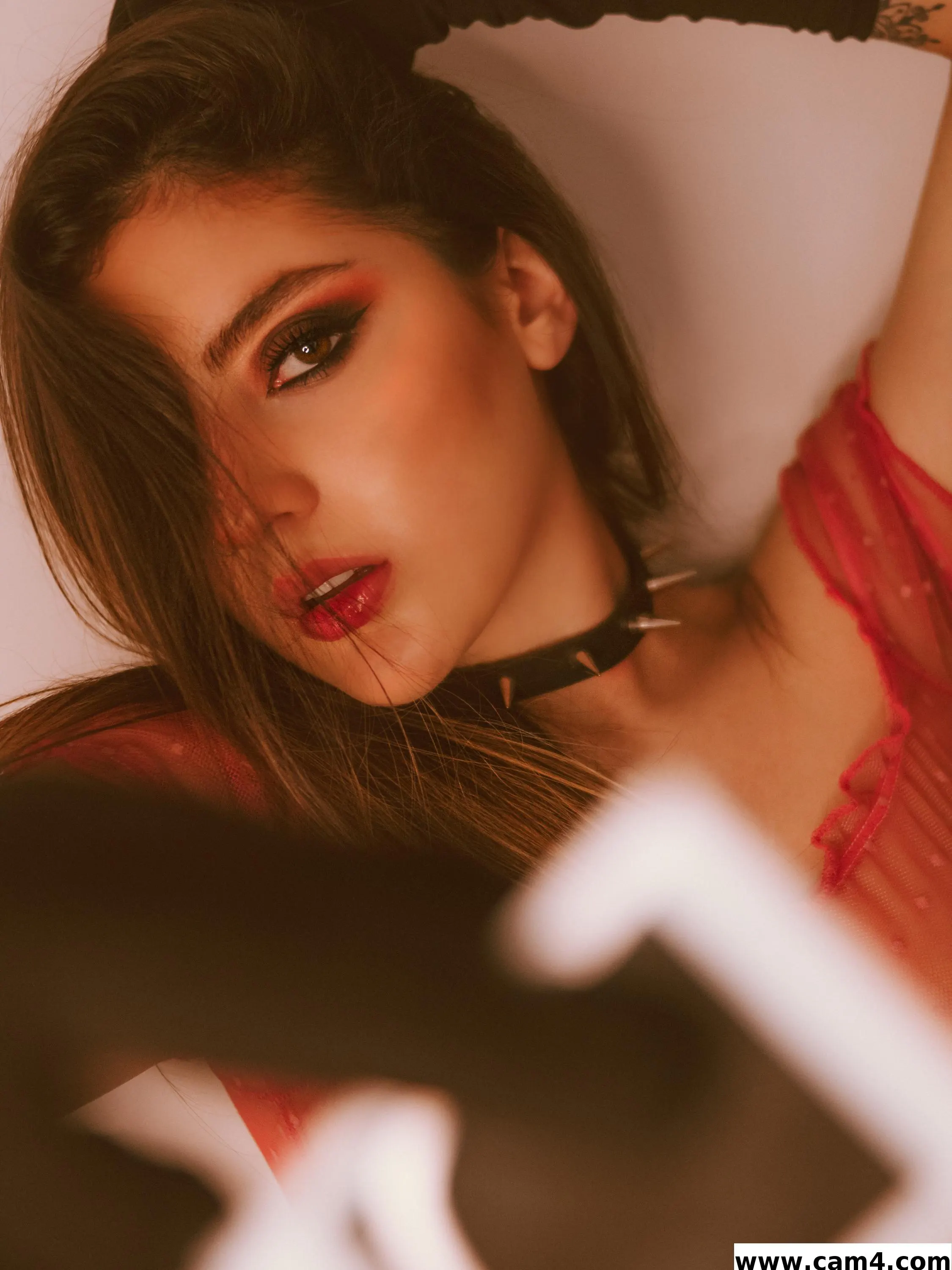 Lanaphoades1 image 0