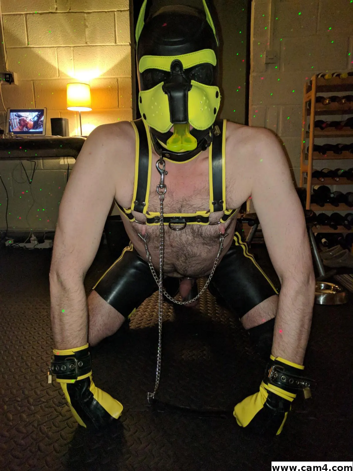 Latexdog image 0