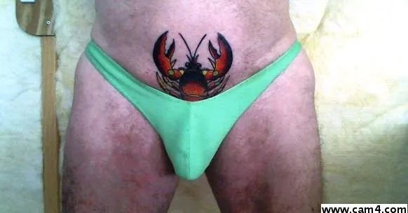 swingerboy49 image 0