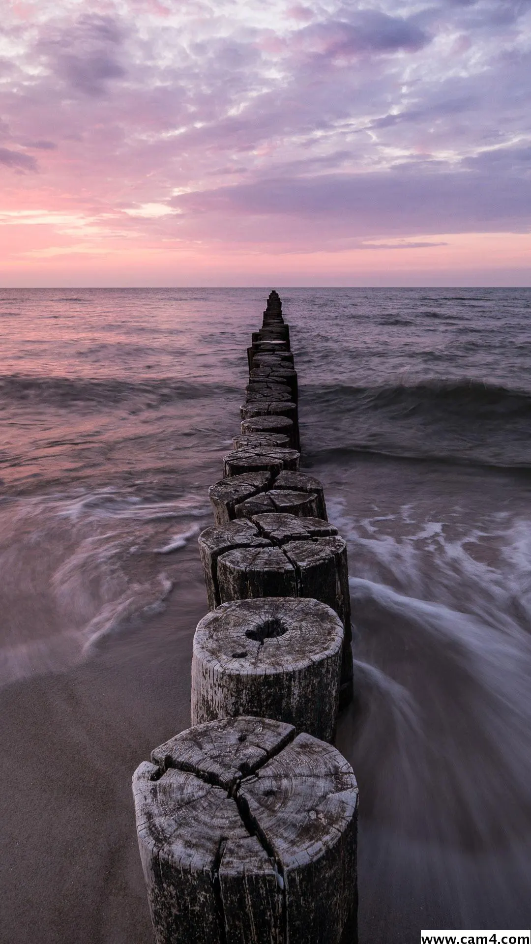 argentovivo6 image 0