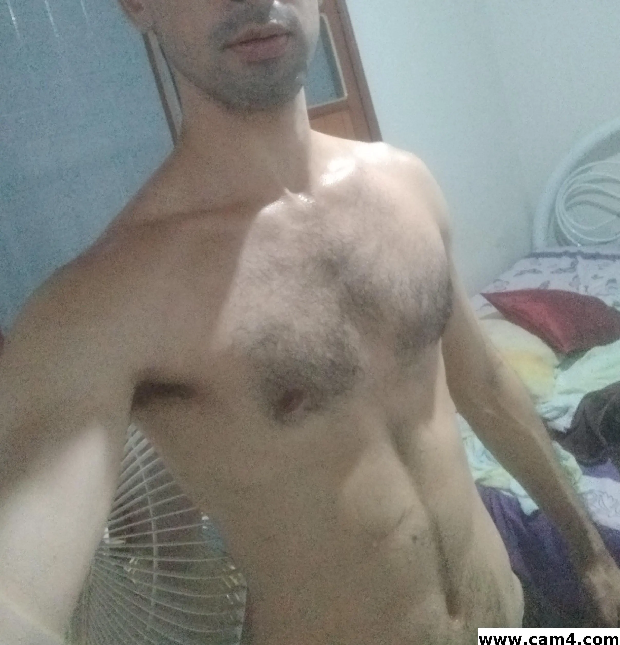 gato_de_boa1 image 0