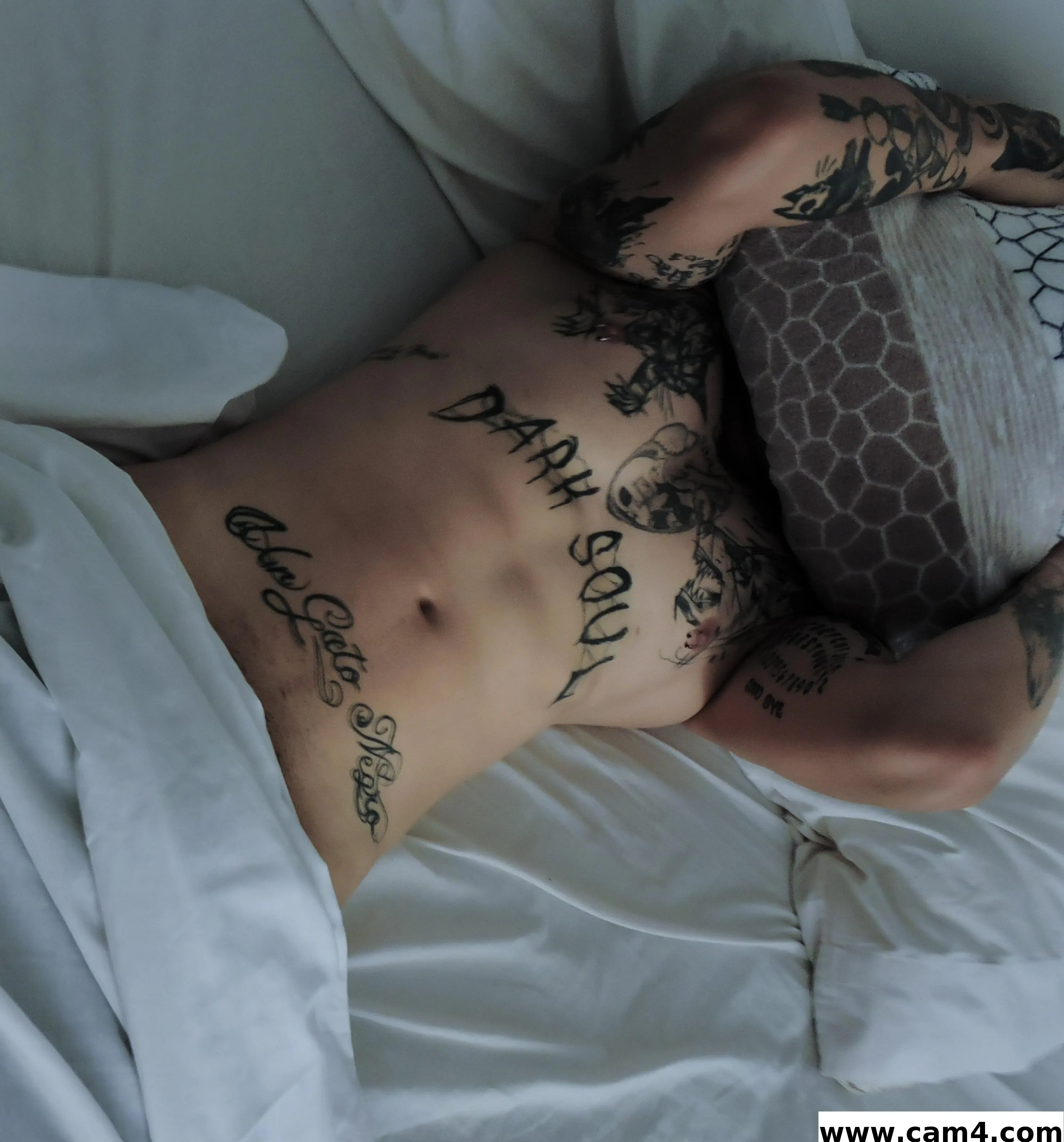 blackcat7200 image 0