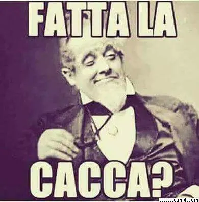 Rasta_79back image 0