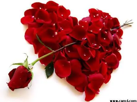 vicet_tauyes image 0