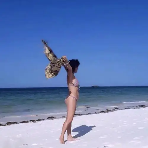 frohlichefee image 0