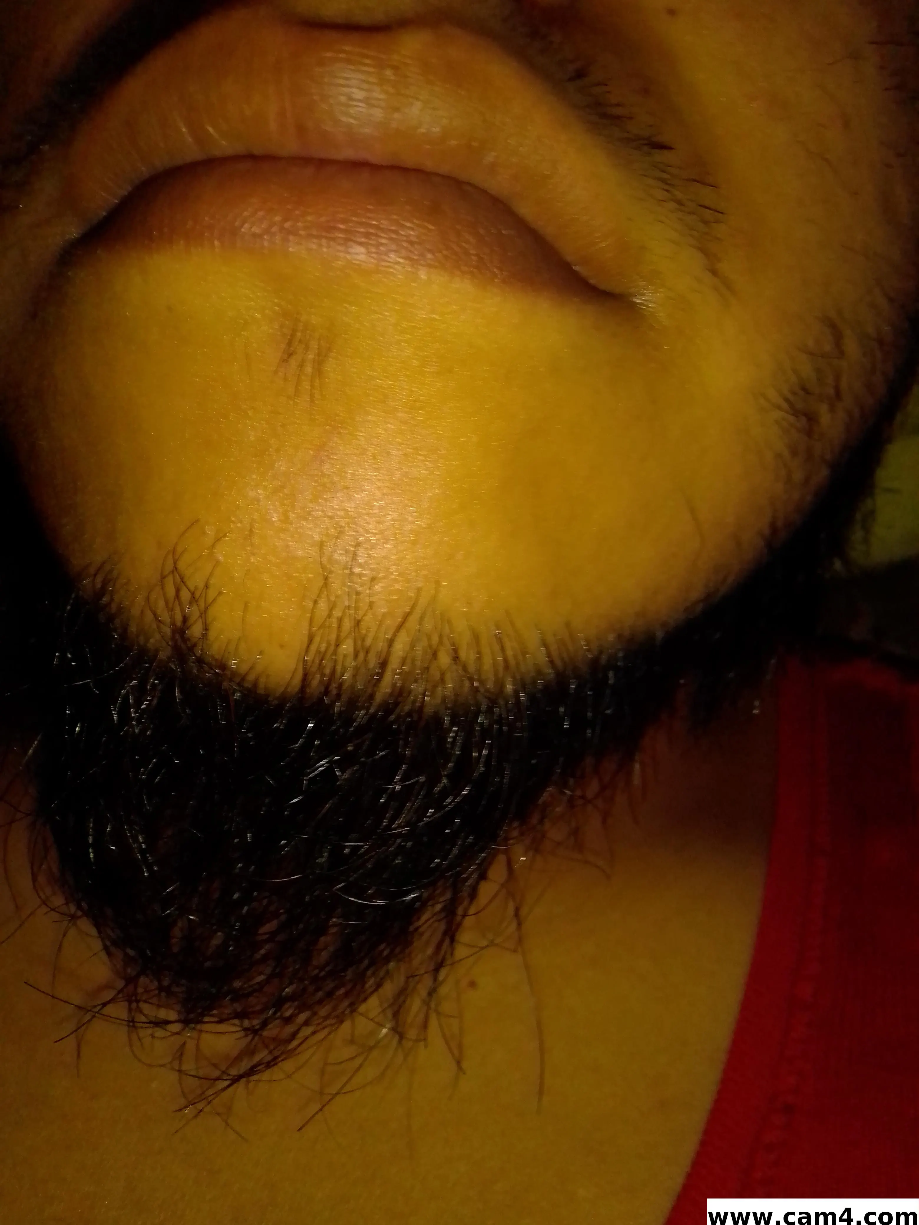 Sommerherbs_ image 0