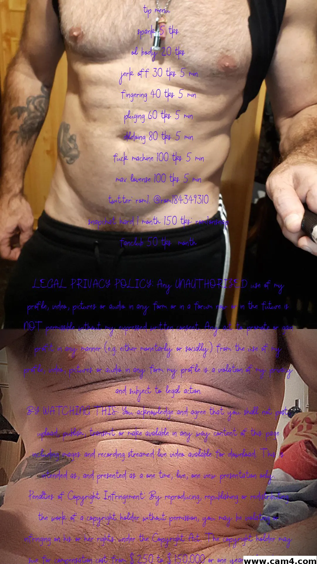 lebranleur13 image 0